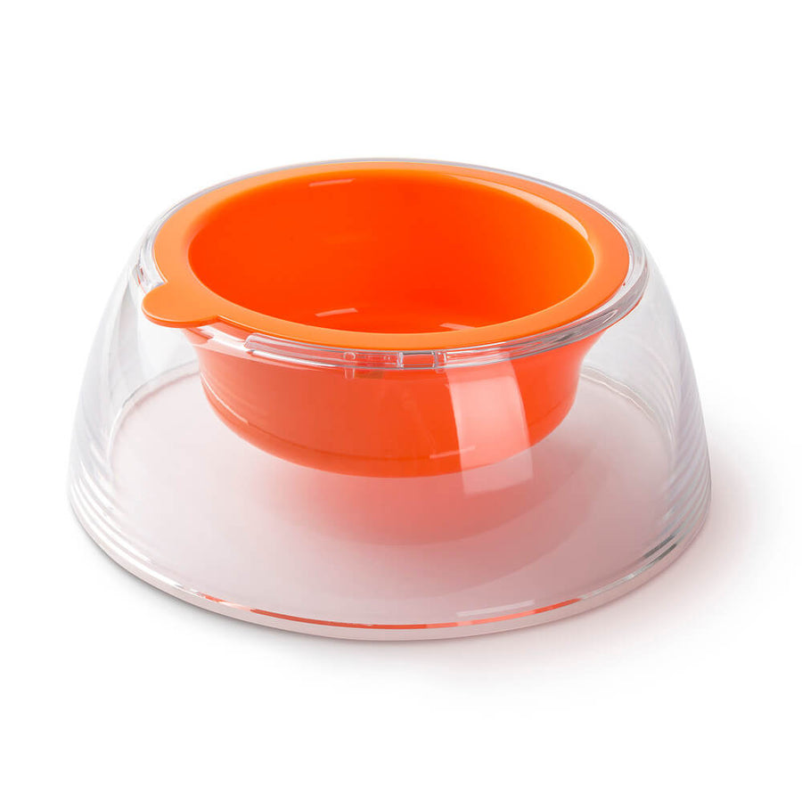 Freezack Hundenapf Color Pop Bowl